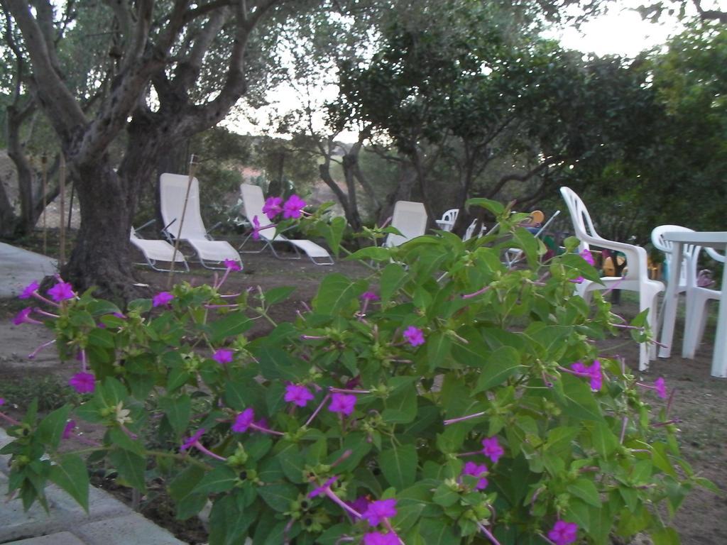 Villa Arancio Giorgio Cala Liberotto Ngoại thất bức ảnh